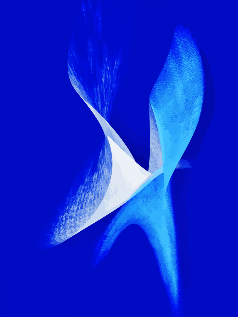 b2